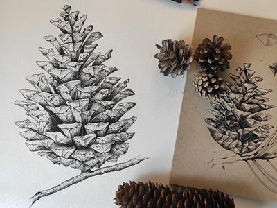 Pinecone