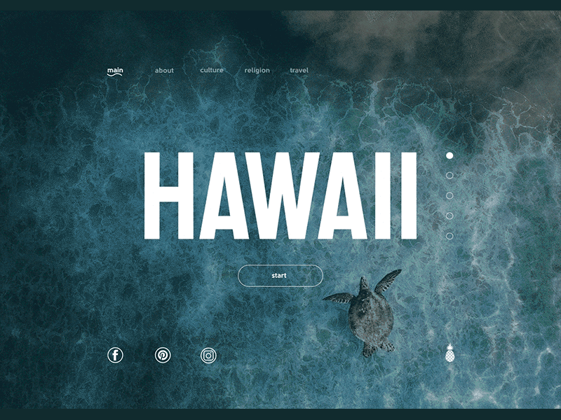 Hawaii main page animation design web