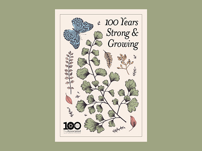 Centennial Parsley Seed Packet Concept