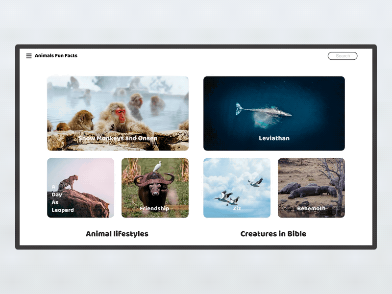 Animal Fun Facts adobe xd animation clean web design