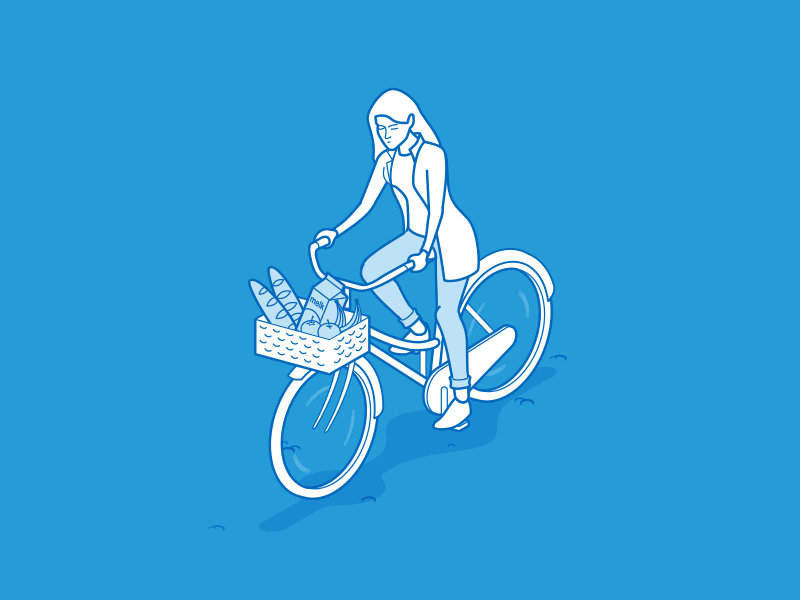 Bike illustration bike flight instruction flute food girl health insurance isometric leon van den berg
