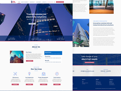 Troon Electric NYC ui web web design website