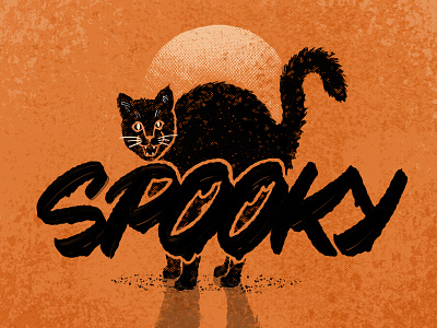 Spooky brushlettering cat halloween handlettering lettering logo spooky type typography