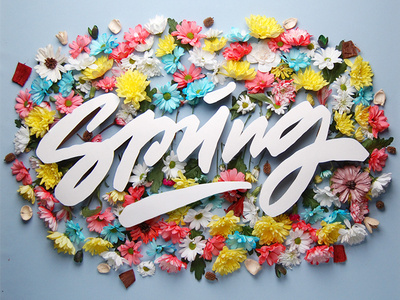 Spring branding brushpen design freelance handlettering lettering logo logotype spring stop motion type typography vector логотип