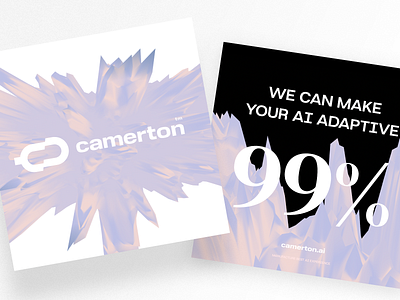 Camerton Visuals