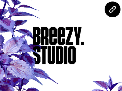 breezy.studio breezy ui web