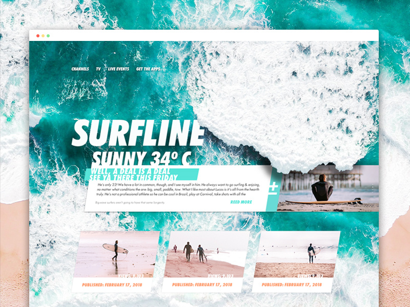 surfline website