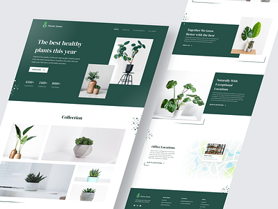 Plants Green - Website by Dhika Endi Astowo for The Small Square on ...