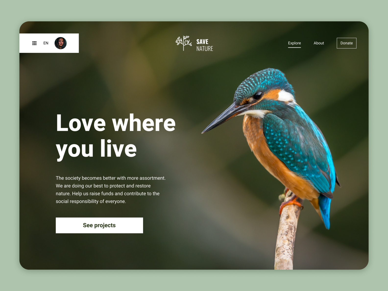 Save Nature — Landing Page by Bekk One on Dribbble