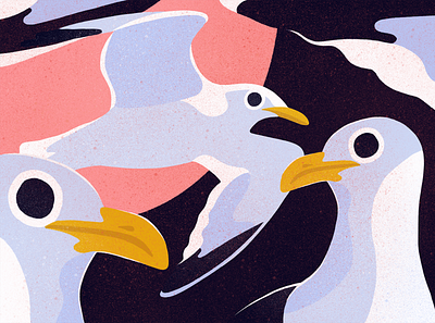 Seagulls digital editorial illustrated illustration illustrator procreate