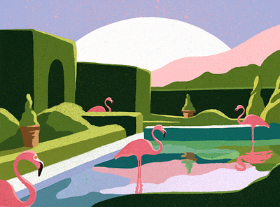 Flamingos colourful digital editorial flamingos illustrated illustration illustrator procreate