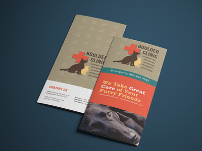Tri Fold Brochure - Boulder Clinic brochure design brochure layout cats clinic dogs graphic design print collateral print design print layout trifold trifold brochure veterinary