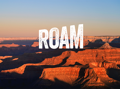 Roam Branding & Photography creative design photography