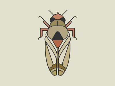 Geometric Cicada Illustration