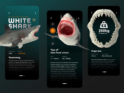 Mobile App : WikiShark app branding design features figma graphic design shark ui ux
