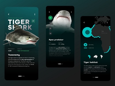 App : WikiShark app branding design features figma graphic design shark ui ux