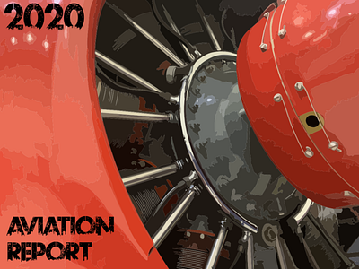 2020 Aviation Report