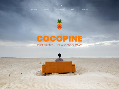 Cocopine South Africa adobe xd branding design landing page logo typography ui web design website design