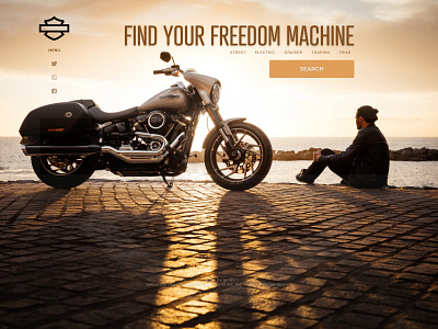 Harley Find Your Freedom A+B 3 adobe xd design illustration logo ui vector web design