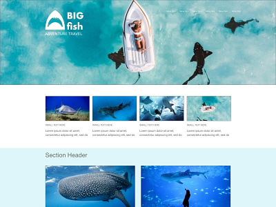 BIG Fish Adventure Travel hero landing page sharks travel agency travel app travel logo travel website website website design