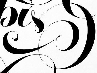 I Was Born For This (detail) joelvilasboas lettering script swashes