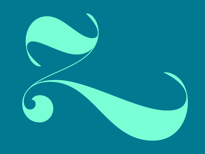 Letter Z swash z lettering joelvilasboas 36daysoftype