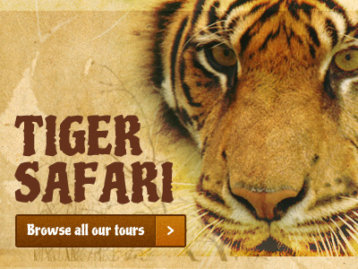 Wildlife Trails safari tiger wildlife