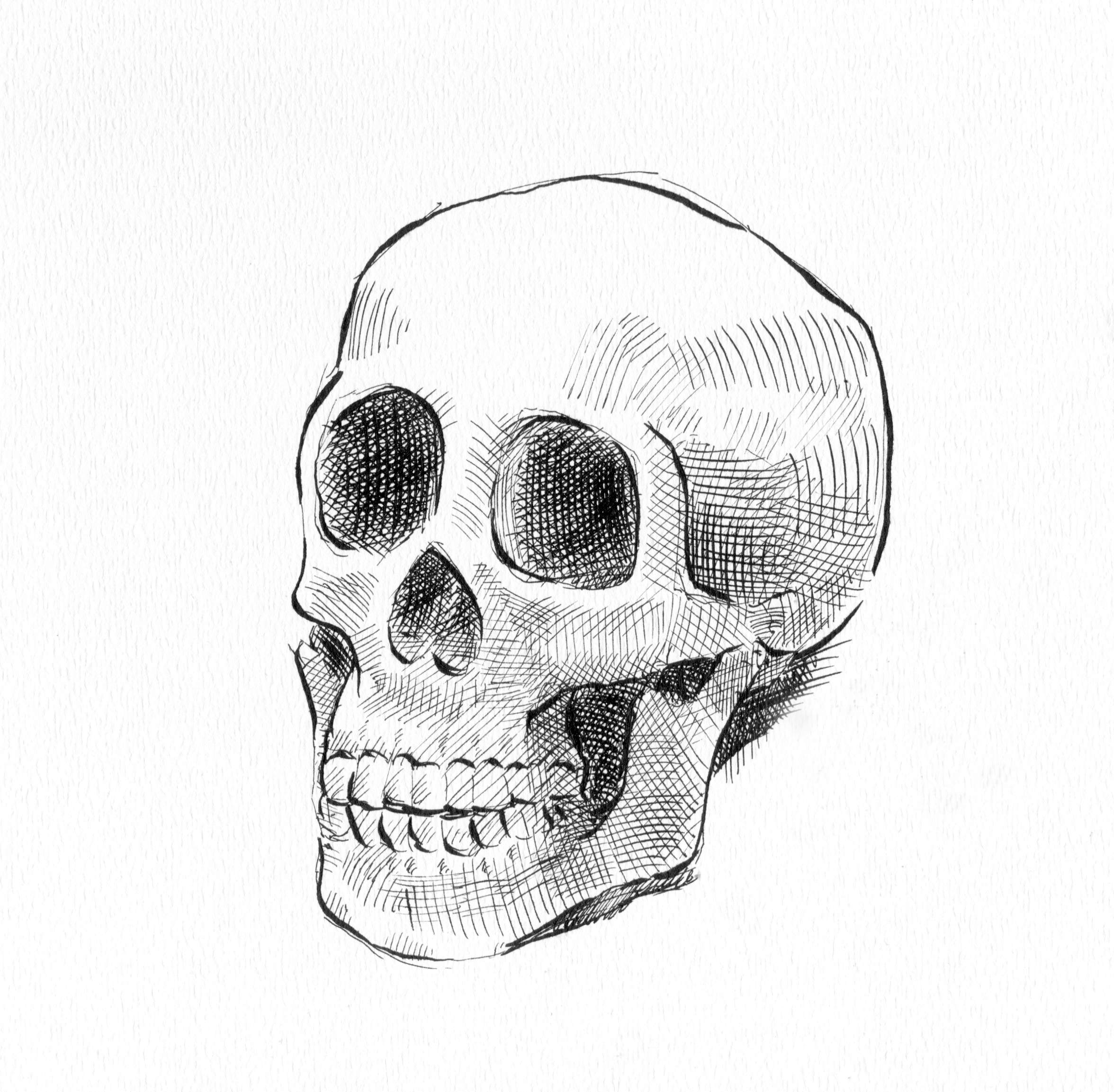 Миниатюрный череп рисунок