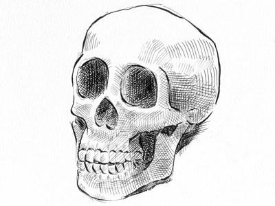 Skull Small