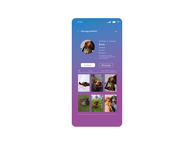 User Profile DailyUI#006 app design dailyui dailyui066 design