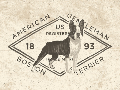 American Gentleman boston terrier dog drawing layout logo textures type typography