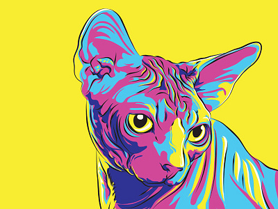 Sphynx Illustration cat colorful feline illustration sphynx vector
