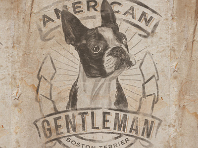 American Gentleman american animal boston terrier dog gentleman paper pet sketch vintage