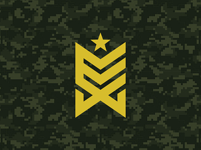 Supplements Company Branding Concept army brand branding chevron concept elite gym identity logo military protein