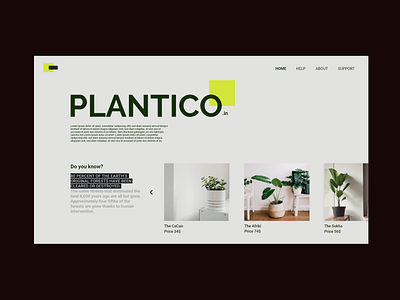 plantico - minimal home page design to buy plants branding design logo minimal typography ui ux web website