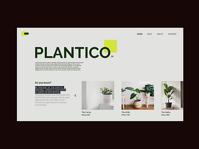 plantico - minimal home page design to buy plants