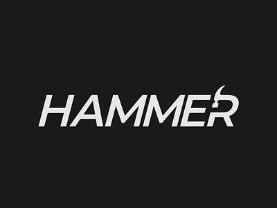 Hammer Logo Concept