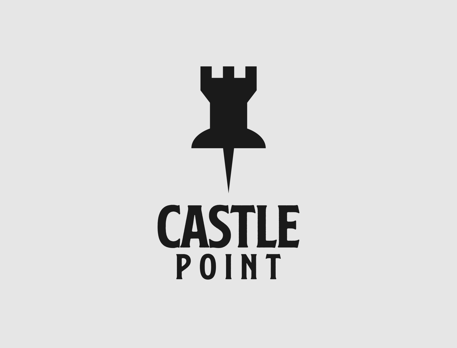 Castle Point logo by MyGraphicLab on Dribbble