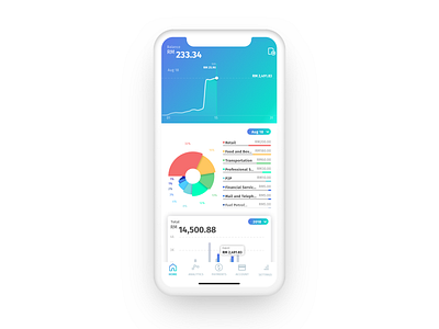 Money management analytics