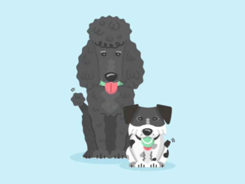 BFFs, Sophie and Ruby character cute dog fun illustration play pooch poodle schnauzer tail tongue wag