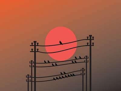 bird sunset adobe illustrator art illustrator travel vector