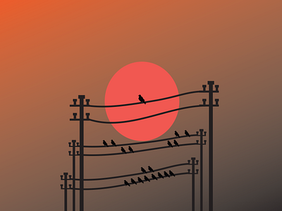 bird sunset