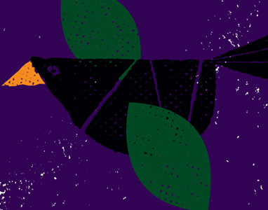 Grackle bird black bird design flying grackle green illustration orange purple rough strawberryluna texture