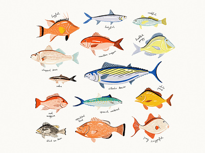 Saltwater Fish animal artwork biology design diagram fish flat graphics icon icons illustration ocean sea simple texture