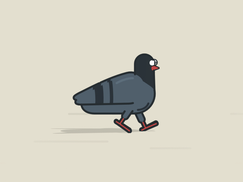 Pigeon Walk ae bird c4d character pigeon rubberhose walk