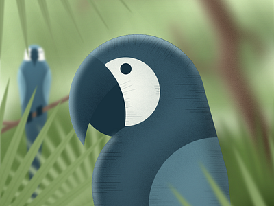 Creation: Day 5 birds forest geometric illustration jungle parrots