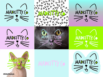 Mad Kitty Brand illustration logo logo design concept logo designer logo mark