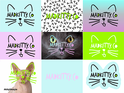 Mad Kitty Brand