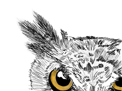Owl design illustration
