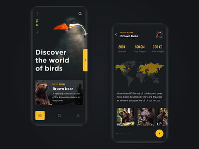 🐻Wild Life Encyclopedia app application bear birds dark interface design encyclopedia mobile nature promo ui ux wild